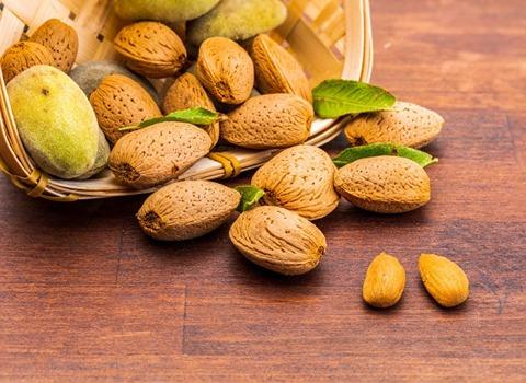 تصویر 4 از خرید و قیمت بادام مامایی صادراتی + فروش عمده